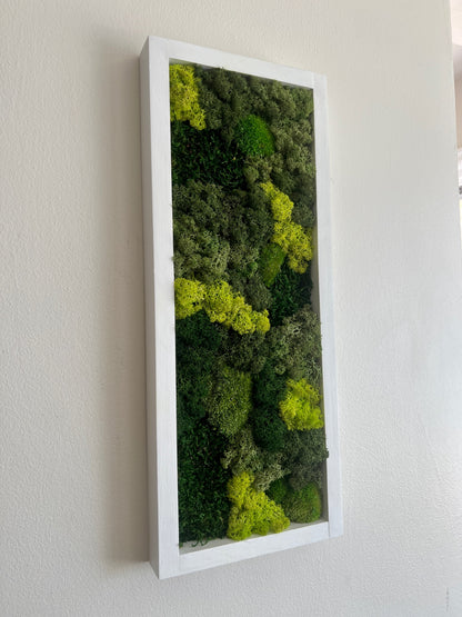 Moss Wall Art | Preserved Moss Art Framed | Moss Wall Decor | Moss Wall Sets | Large Rectangle Single to Six Set | Reindeer Moss Pole Moss