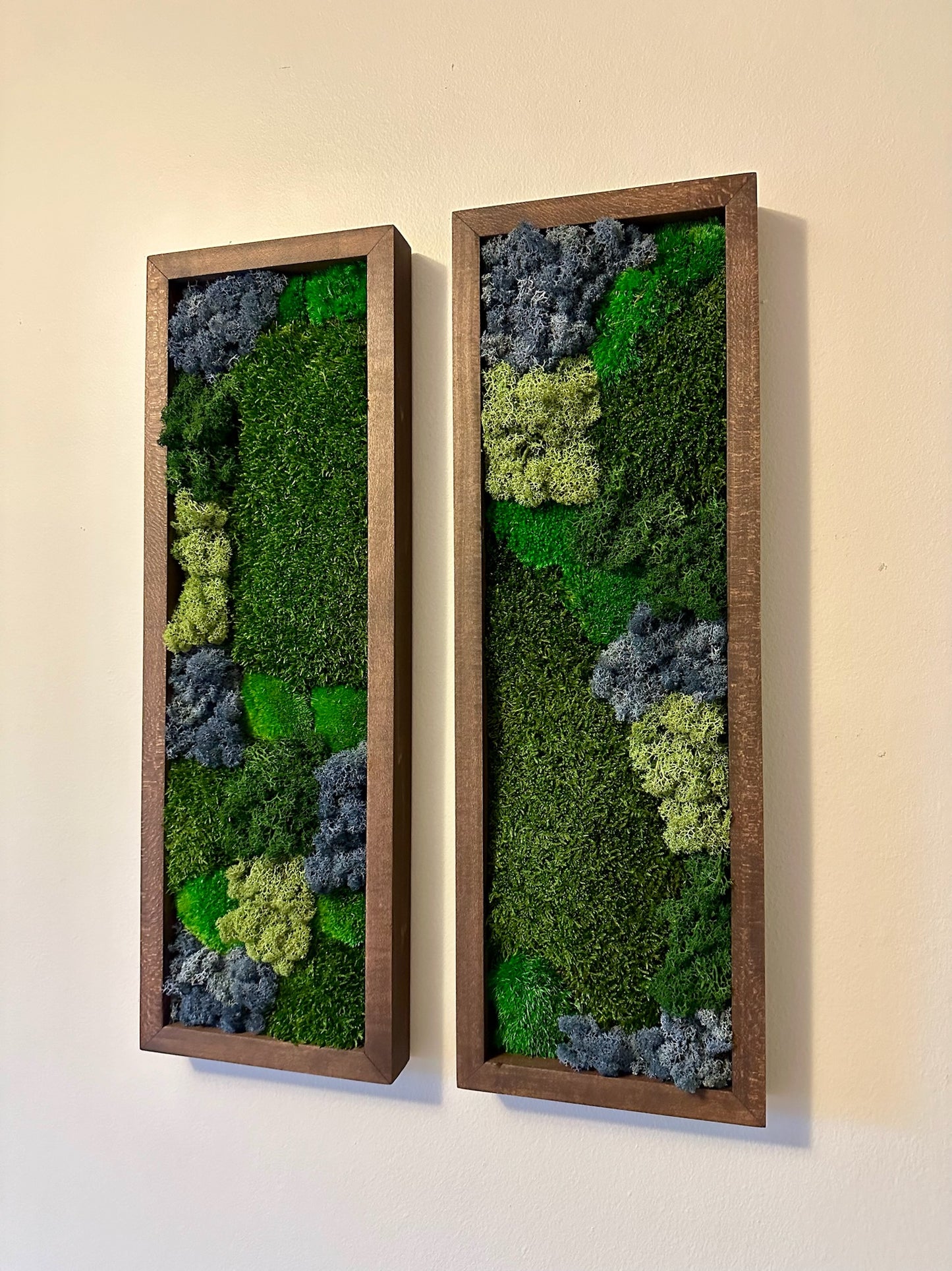 Moss Wall Art | Preserved Moss Art Framed | Moss Wall Decor | Moss Wall Sets | Large Rectangle Single to Six Set | Reindeer Moss Pole Moss