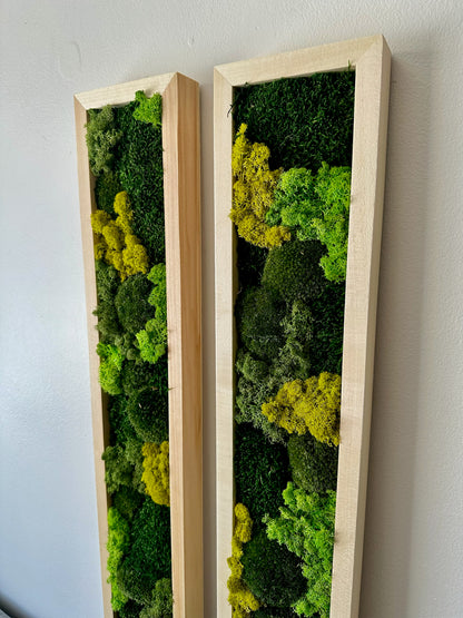 Long Rectangle Preserved Moss Decor -6” x 36” - Pole & Reindeer Moss