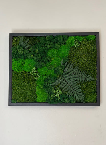 Moss Wall Art | Preserved Moss Framed 16 by 20 Inches | Moss Wall Decor | Pole Moss Sheet Moss and Fern with Reindeer Moss