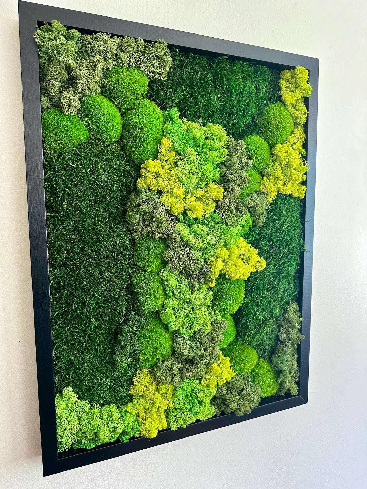 Moss Wall Art | Preserved Moss Framed 18 by 24 Inches | Moss Wall Decor | Pole Moss Sheet Moss and Fern with Reindeer Moss