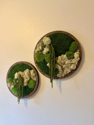 Moss Wall Art Circle | Preserved Moss Art Framed | Moss Wall Decor | Single or Set of 2 | Reindeer & Sheet Moss | Unique Gift | Wedding