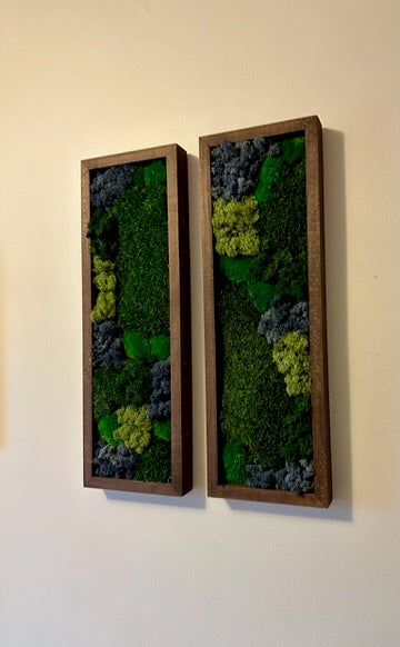 Moss Wall Art | Preserved Moss Art Framed | Moss Wall Decor | Moss Wall Sets | Large Rectangle Single to Six Set | Reindeer Moss Pole Moss