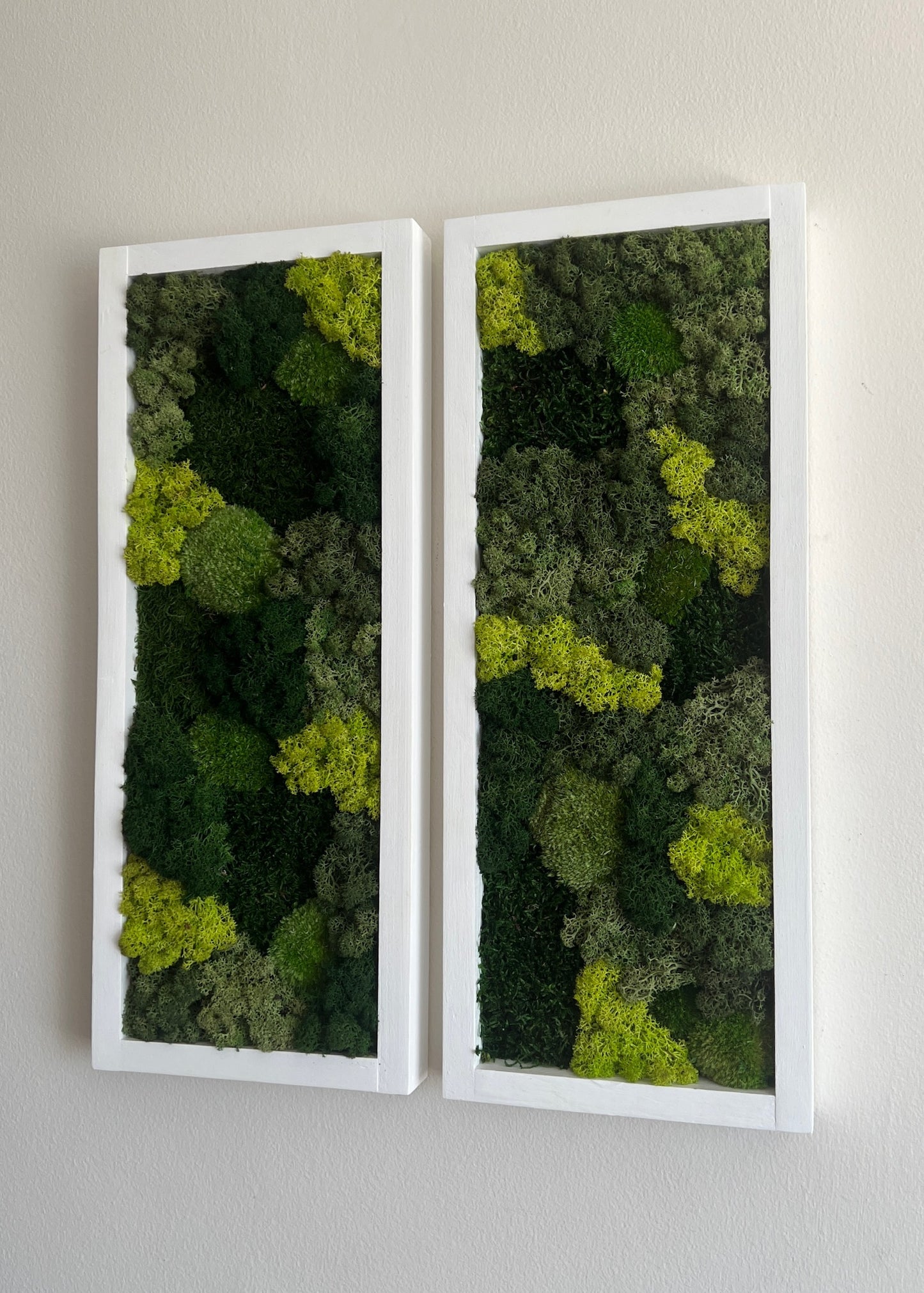 Moss Wall Art | Preserved Moss Art Framed | Moss Wall Decor | Moss Wall Sets | Large Rectangle Single to Six Set | Reindeer Moss Pole Moss