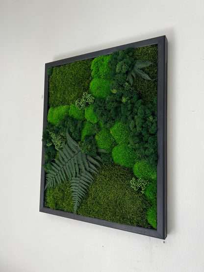 Moss Wall Art | Preserved Moss Framed 16 by 20 Inches | Moss Wall Decor | Pole Moss Sheet Moss and Fern with Reindeer Moss