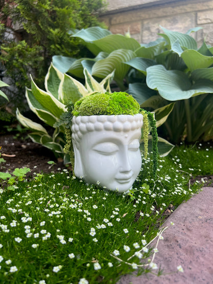 Moss Centerpiece Buddha Bowl | Pole Moss | Preserved Fern | Ceramic Centrepiece Bowl | Gift | Wedding Centrepiece