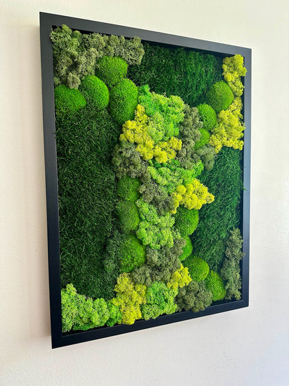 Moss Wall Art | Preserved Moss Framed 18 by 24 Inches | Moss Wall Decor | Pole Moss Sheet Moss and Fern with Reindeer Moss