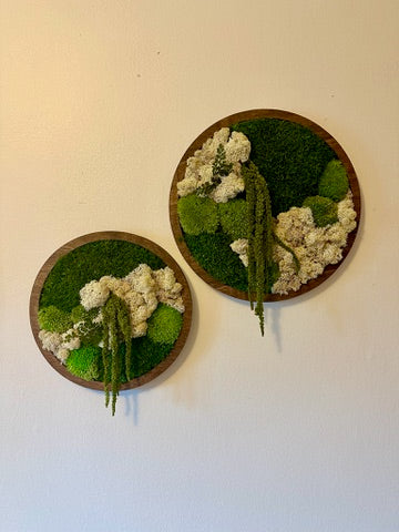 Moss Wall Art Circle | Preserved Moss Art Framed | Moss Wall Decor | Single or Set of 2 | Reindeer & Sheet Moss | Unique Gift | Wedding