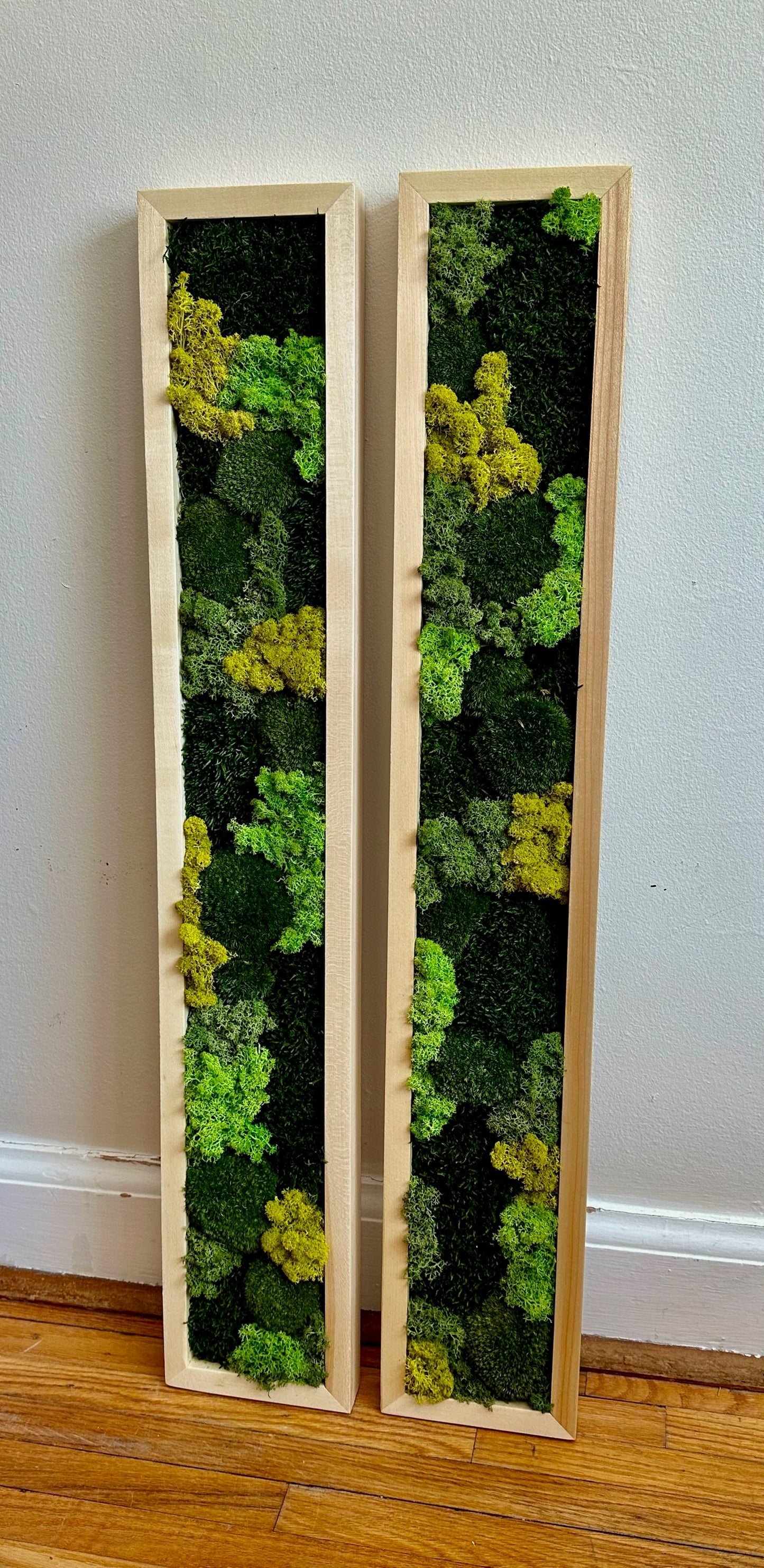 Long Rectangle Preserved Moss Decor -6” x 36” - Pole & Reindeer Moss