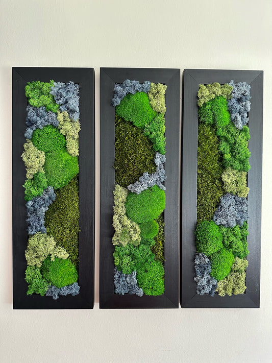 Moss Wall Art | Preserved Moss Art Framed | Moss Wall Decor | Moss Wall Sets | Large Rectangle Single to Six Set | Reindeer Moss Pole Moss