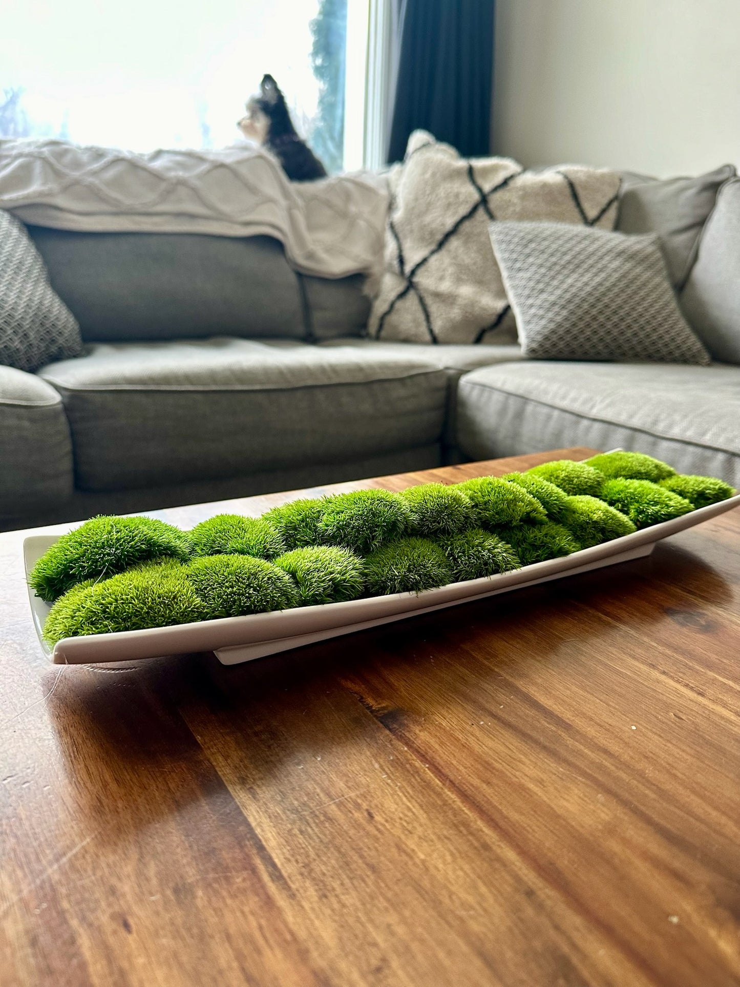 Moss Centerpiece | Mood Moss | Preserved Moss Gift | Ceramic Centerpiece Bowl | One of a Kind | Green Mood Moss | Wedding Centrepiece (Copy)