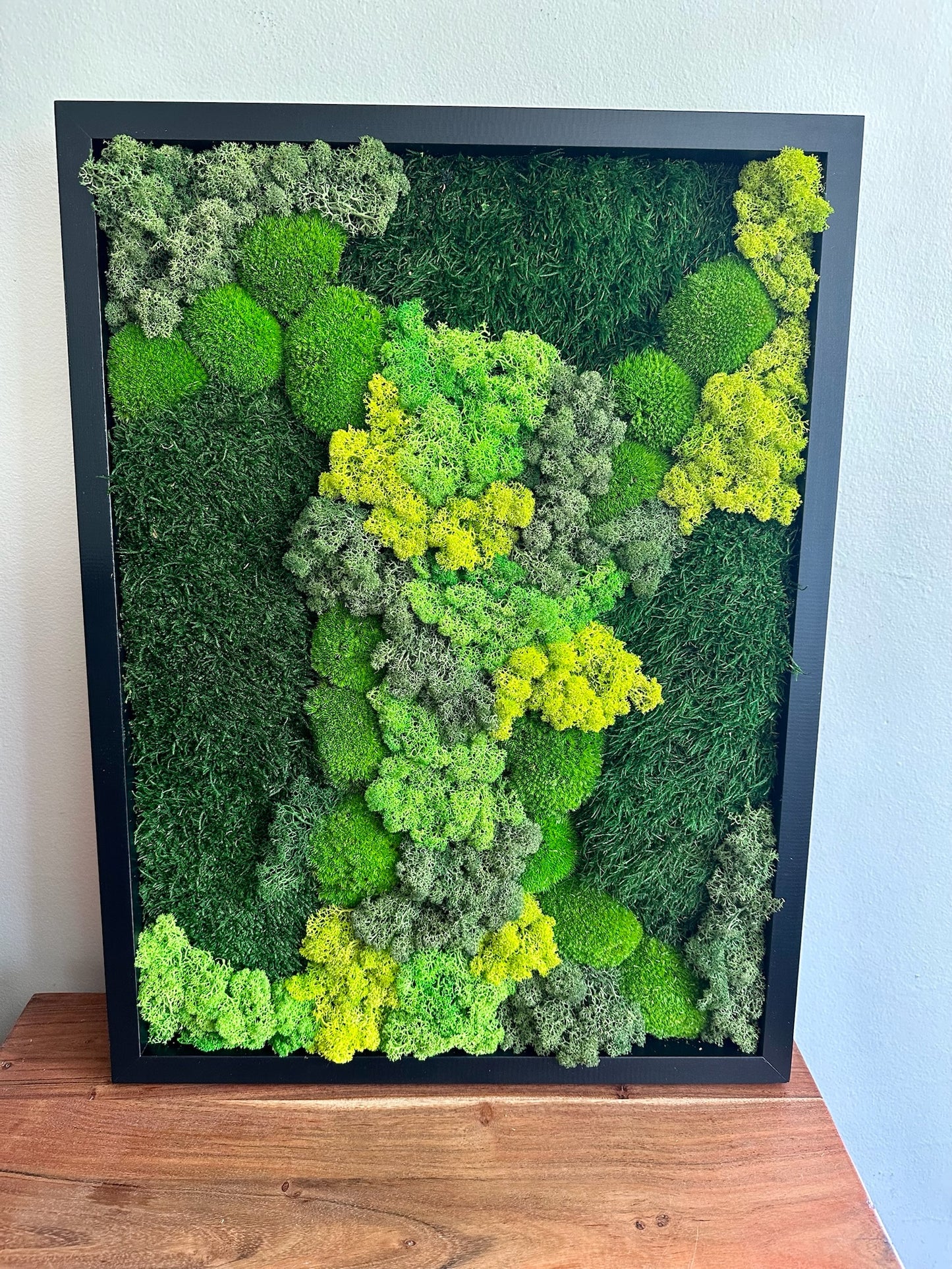 Moss Wall Art | Preserved Moss Framed 18 by 24 Inches | Moss Wall Decor | Pole Moss Sheet Moss and Fern with Reindeer Moss