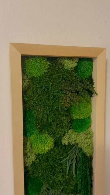 Moss Wall Art | Preserved Moss Art Framed | Moss Wall Decor | Moss Wall Sets | Large Rectangle Single to Six Set | Reindeer Moss Pole Moss