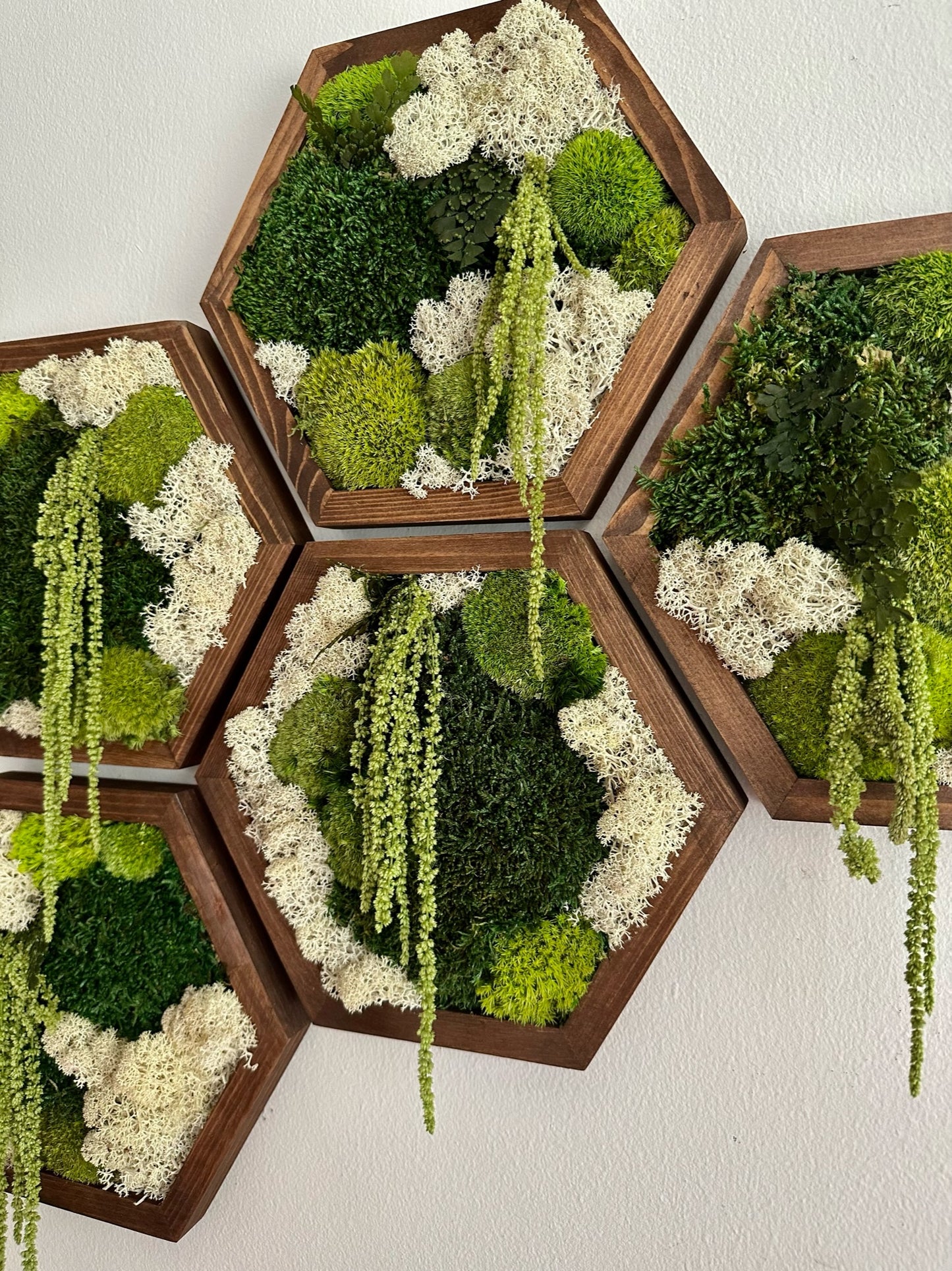 Hexagon Frame - 10” x 11.6” - Sheet, Pole and Reindeer Moss with Light Green Amaranthus