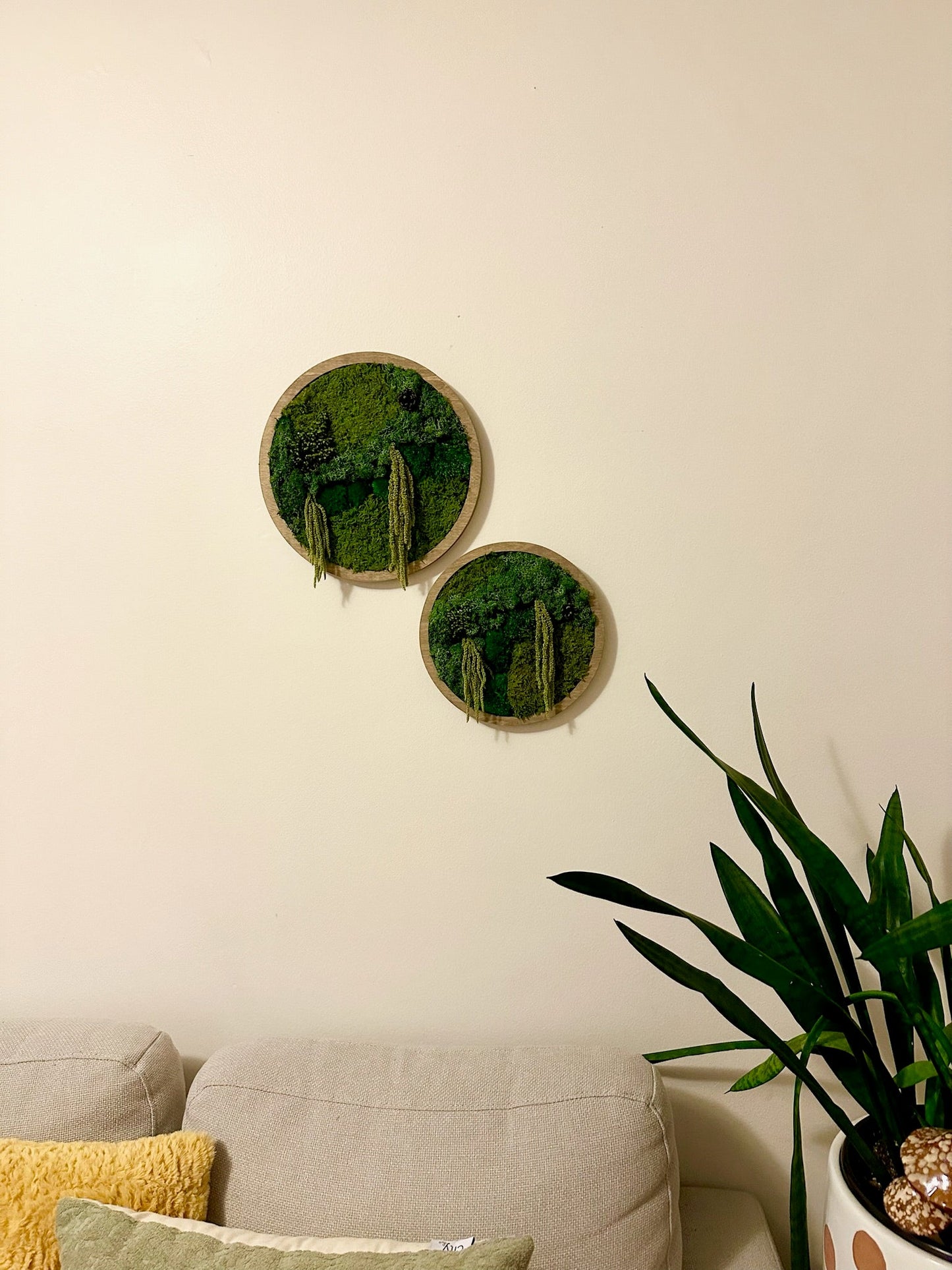 Moss Wall Art Circle | Preserved Moss Art Framed | Moss Wall Decor | Single or Set of 2 | Reindeer & Sheet Moss | Unique Gift | Wedding (Copy) (Copy)