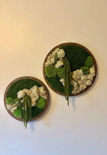 Moss Wall Art Circle | Preserved Moss Art Framed | Moss Wall Decor | Single or Set of 2 | Reindeer & Sheet Moss | Unique Gift | Wedding