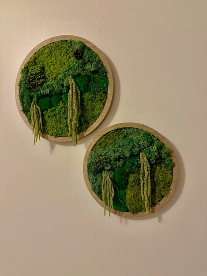 Moss Wall Art Circle | Preserved Moss Art Framed | Moss Wall Decor | Single or Set of 2 | Reindeer & Sheet Moss | Unique Gift | Wedding