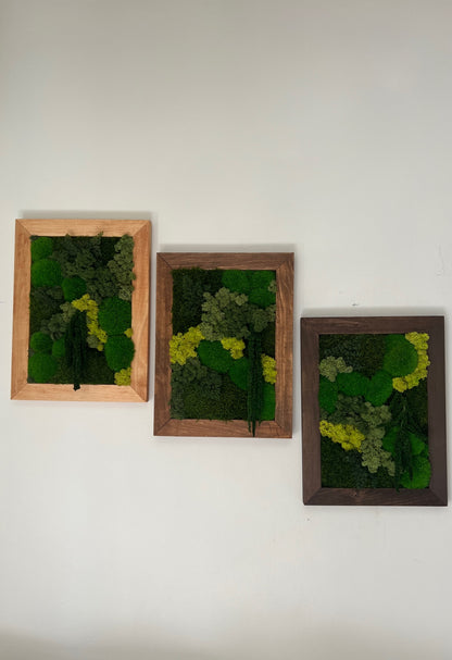 Moss Art - 12 x 16 Inches - Shades of Green Reindeer, Pole & Mood Moss