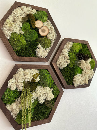 Moss Wall Art Decor | Single Set to Six (10" x 11.6" or 8" x 9.6") | Preserved Lichen, Pole and Sheet Moss, Amaranth & Fern |