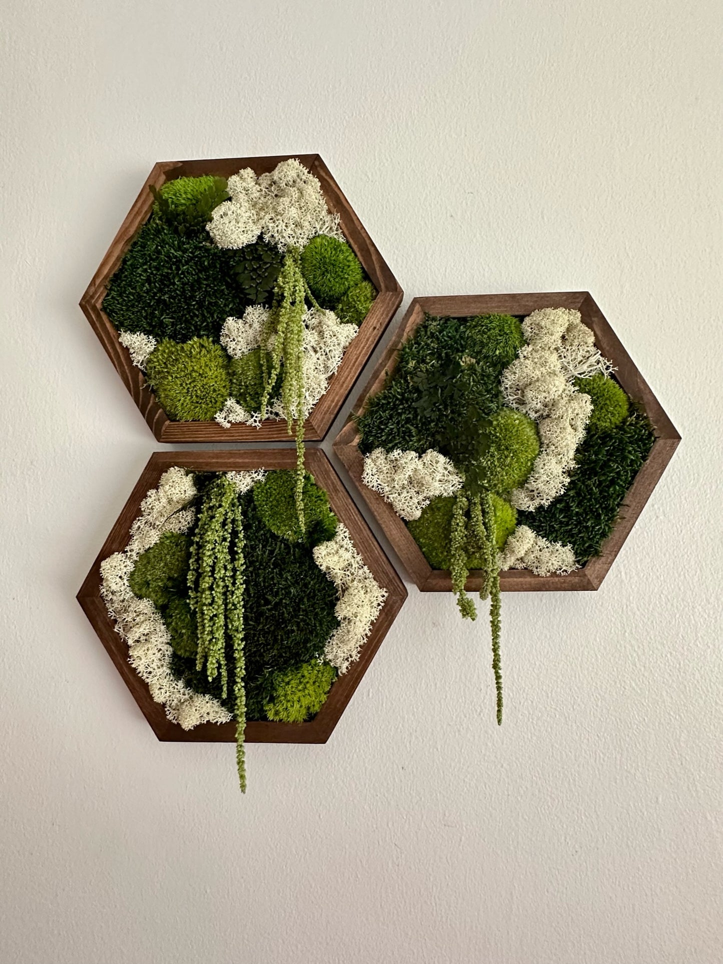 Hexagon Frame - 10” x 11.6” - Sheet, Pole and Reindeer Moss with Light Green Amaranthus