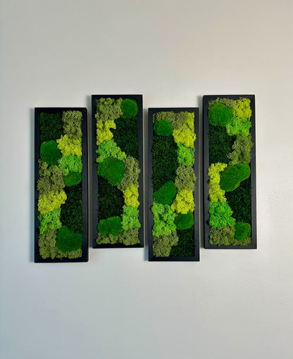 Long Rectangle Preserved Moss Decor - 18" by 5" - Pole & Reindeer Moss