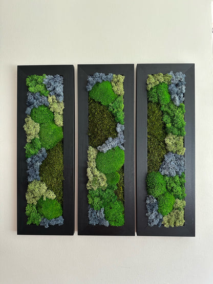 Moss Wall Art | Preserved Moss Art Framed | Moss Wall Decor | Moss Wall Sets | Large Rectangle Single to Six Set | Reindeer Moss Pole Moss