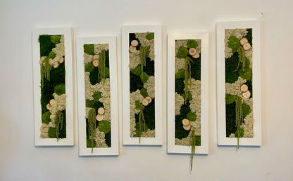 Moss Wall Art | Preserved Moss Art Framed | Moss Wall Decor | Moss Wall Sets | Large Rectangle Single to Six Set | Reindeer Moss Pole Moss