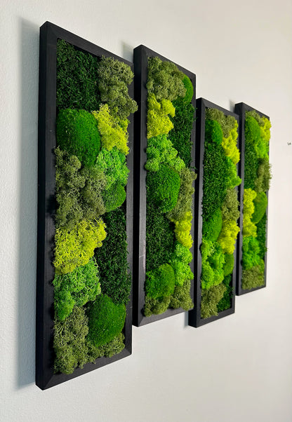 Long Rectangle Preserved Moss Decor - 18" by 5" - Pole & Reindeer Moss
