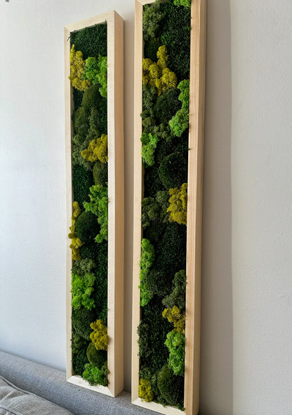 Long Rectangle Preserved Moss Decor -6” x 36” - Pole & Reindeer Moss