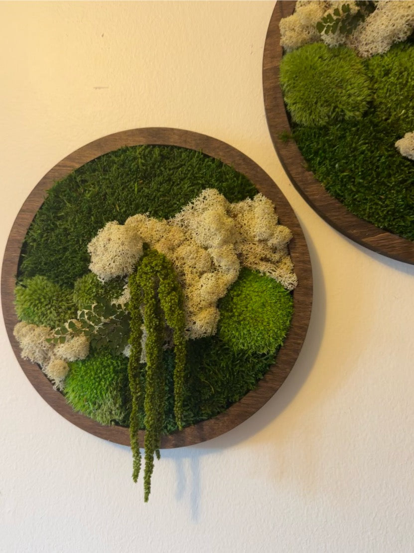 Moss Wall Art Circle | Preserved Moss Art Framed | Moss Wall Decor | Single or Set of 2 | Reindeer & Sheet Moss | Unique Gift | Wedding