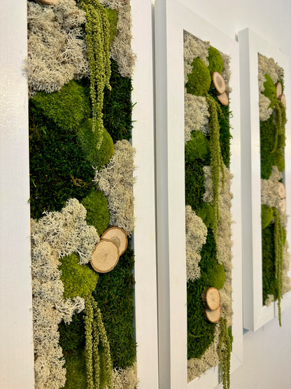 Moss Wall Art | Preserved Moss Art Framed | Moss Wall Decor | Moss Wall Sets | Large Rectangle Single to Six Set | Reindeer Moss Pole Moss