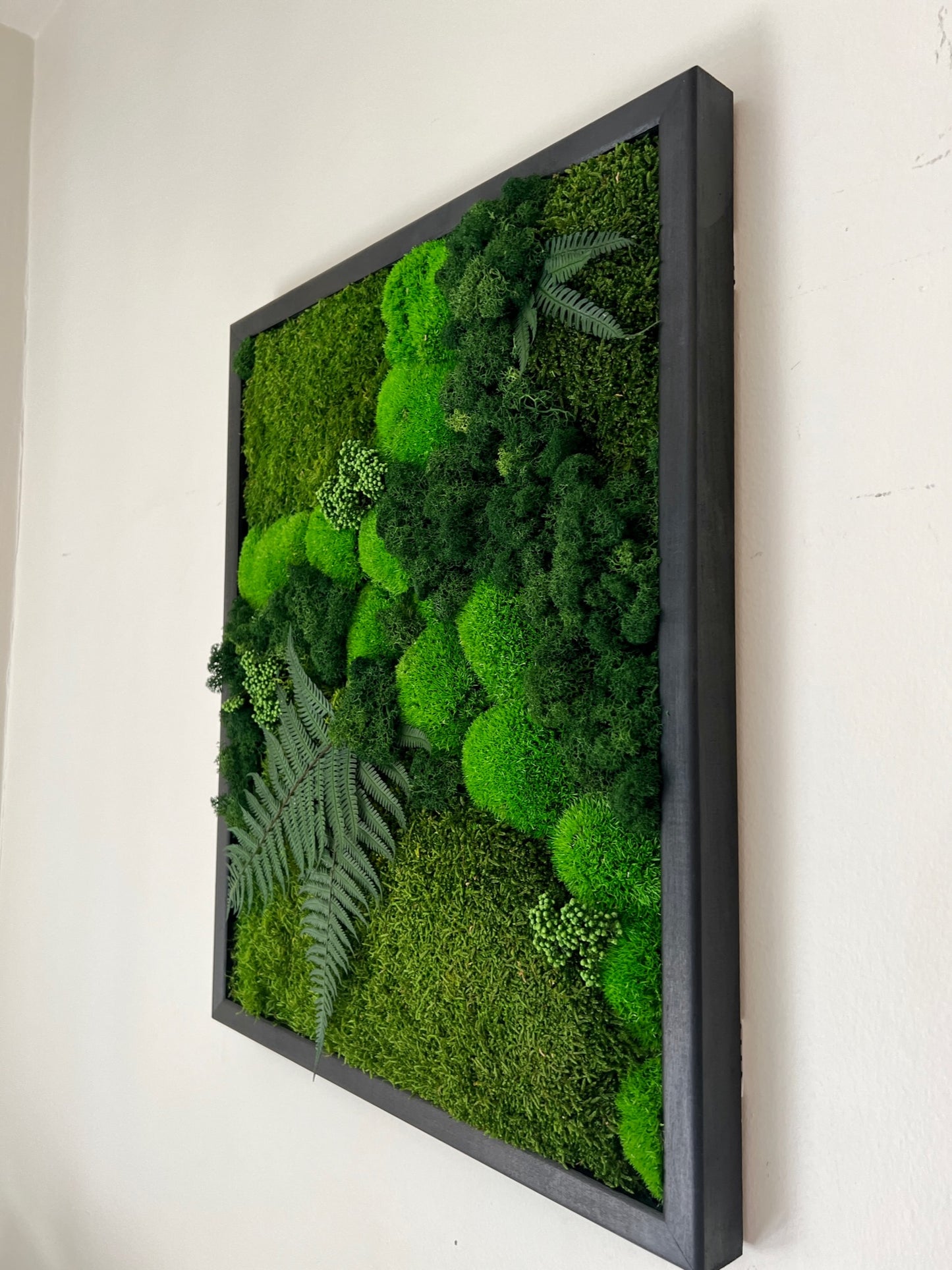 Moss Wall Art | Preserved Moss Framed 16 by 20 Inches | Moss Wall Decor | Pole Moss Sheet Moss and Fern with Reindeer Moss