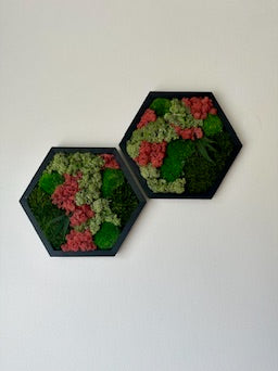 Moss Wall Art Decor | Single Set to Six (10" x 11.6" or 8" x 9.6") | Preserved Lichen, Pole and Sheet Moss & Fern | Red