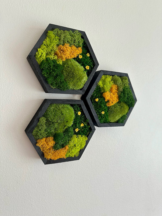 Shades of Green & Yellow Flowers - Hexagon - Reindeer, Pole & Sheet Moss