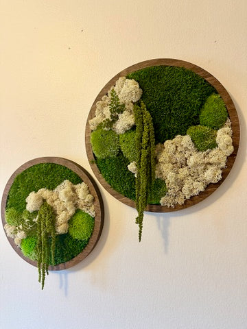 Moss Wall Art Circle | Preserved Moss Art Framed | Moss Wall Decor | Single or Set of 2 | Reindeer & Sheet Moss | Unique Gift | Wedding