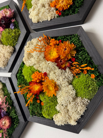 Honeycomb Moss Wall Art: Wood Hexagon Frame, Reindeer Moss & Flowers | USA - TARIFF FREE