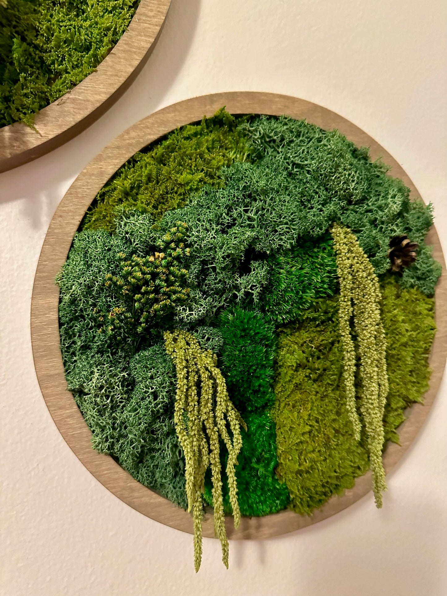 Moss Wall Art Circle | Preserved Moss Art Framed | Moss Wall Decor | Single or Set of 2 | Reindeer & Sheet Moss | Unique Gift | Wedding