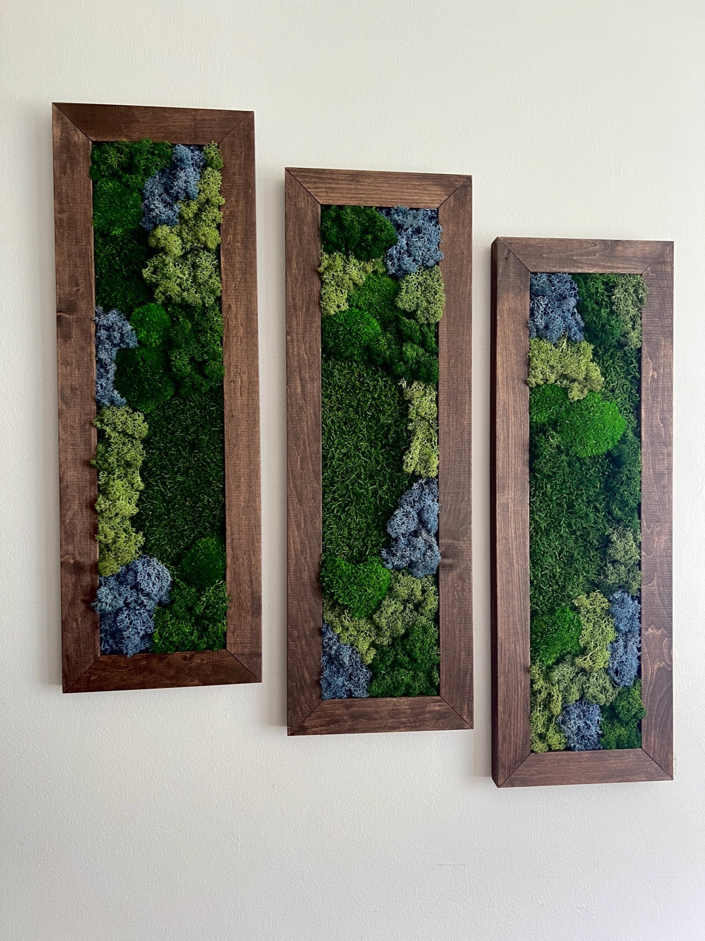 Moss Wall Art | Preserved Moss Art Framed | Moss Wall Decor | Moss Wall Sets | Large Rectangle Single to Six Set | Reindeer Moss Pole Moss