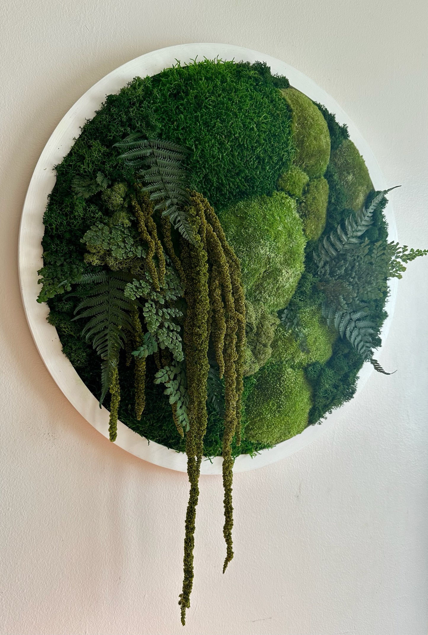 Moss Wall Art Circle 20 Inch | Preserved Moss Art Framed | Moss Wall Decor