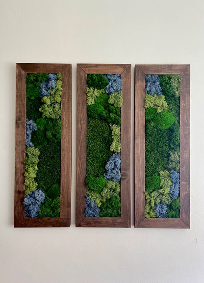 Moss Wall Art | Preserved Moss Art Framed | Moss Wall Decor | Moss Wall Sets | Large Rectangle Single to Six Set | Reindeer Moss Pole Moss