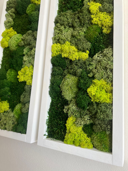 Moss Wall Art | Preserved Moss Art Framed | Moss Wall Decor | Moss Wall Sets | Large Rectangle Single to Six Set | Reindeer Moss Pole Moss