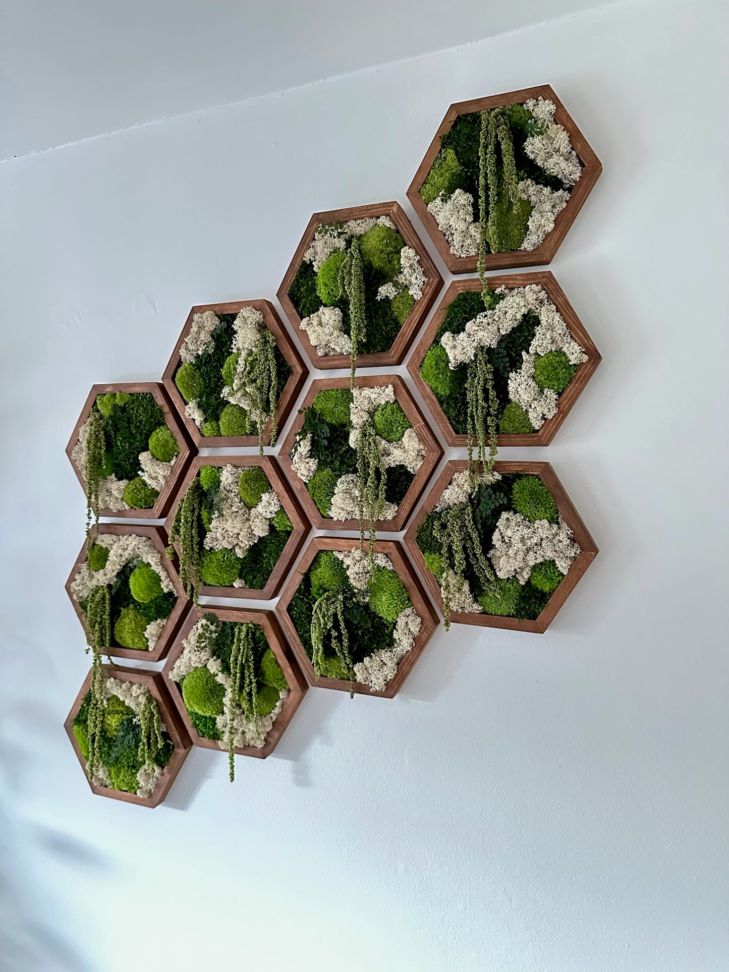 Hexagon Frame - 10” x 11.6” - Sheet, Pole and Reindeer Moss with Light Green Amaranthus