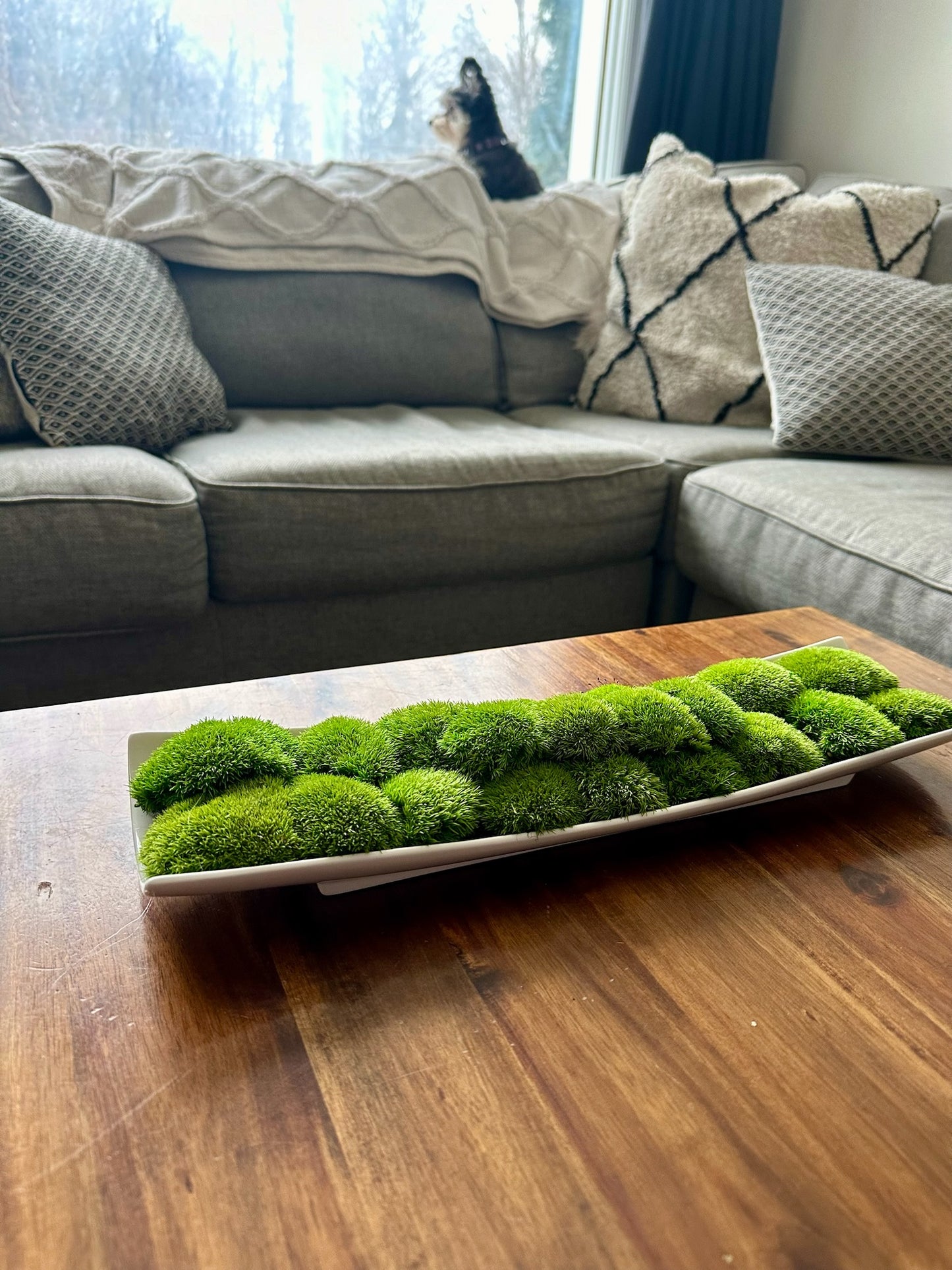 Moss Centerpiece | Mood Moss | Preserved Moss Gift | Ceramic Centerpiece Bowl | One of a Kind | Green Mood Moss | Wedding Centrepiece (Copy)