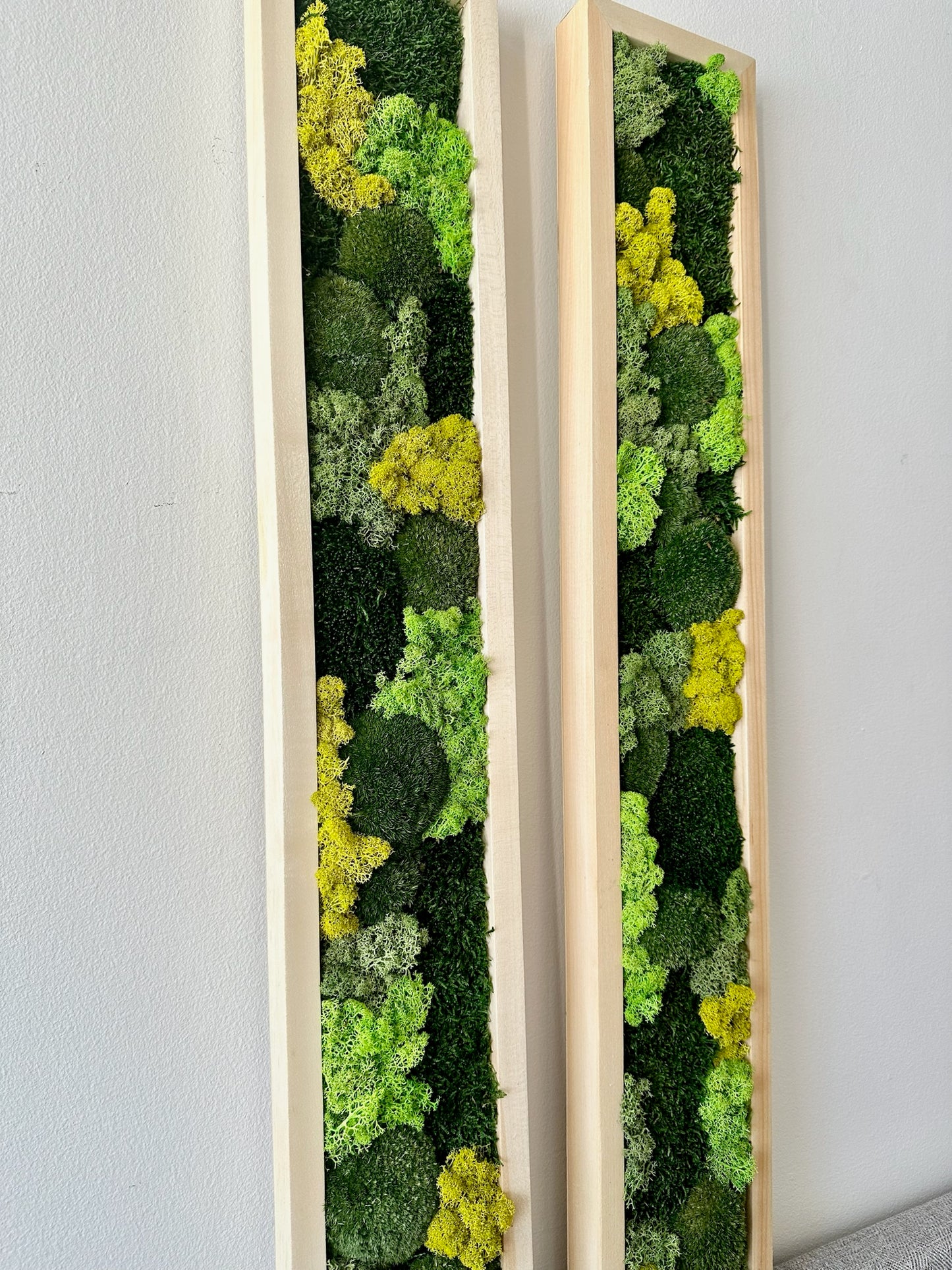 Long Rectangle Preserved Moss Decor -6” x 36” - Pole & Reindeer Moss