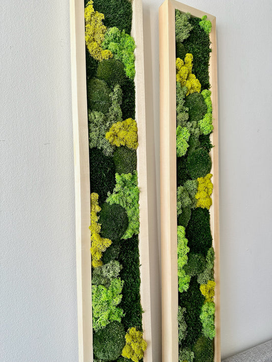 Long Rectangle Preserved Moss Decor -6” x 36” - Pole & Reindeer Moss