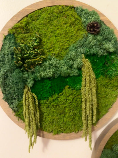 Moss Wall Art Circle | Preserved Moss Art Framed | Moss Wall Decor | Single or Set of 2 | Reindeer & Sheet Moss | Unique Gift | Wedding