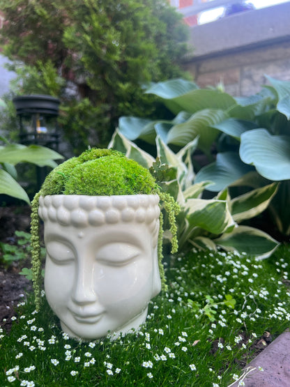 Moss Centerpiece Buddha Bowl | Pole Moss | Preserved Fern | Ceramic Centrepiece Bowl | Gift | Wedding Centrepiece