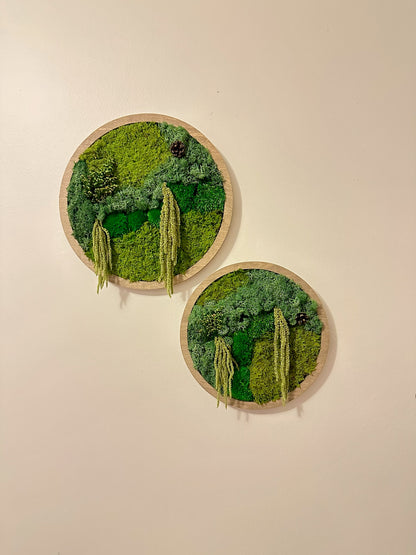 Moss Wall Art Circle | Preserved Moss Art Framed | Moss Wall Decor | Single or Set of 2 | Reindeer & Sheet Moss | Unique Gift | Wedding