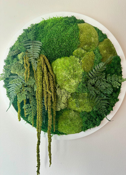 Moss Wall Art Circle 20 Inch | Preserved Moss Art Framed | Moss Wall Decor