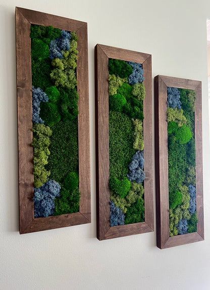 Moss Wall Art | Preserved Moss Art Framed | Moss Wall Decor | Moss Wall Sets | Large Rectangle Single to Six Set | Reindeer Moss Pole Moss